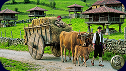 Carro del Pais